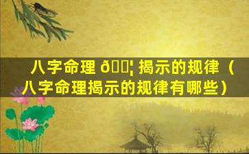 八字命理 🐦 揭示的规律（八字命理揭示的规律有哪些）